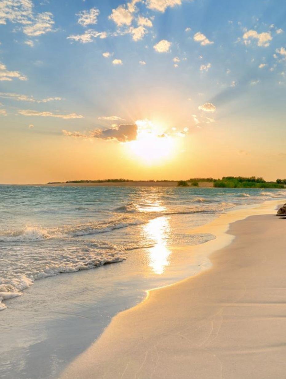 WhatsApp Image 2025-11-12 at 05.25.06_67a24e2c