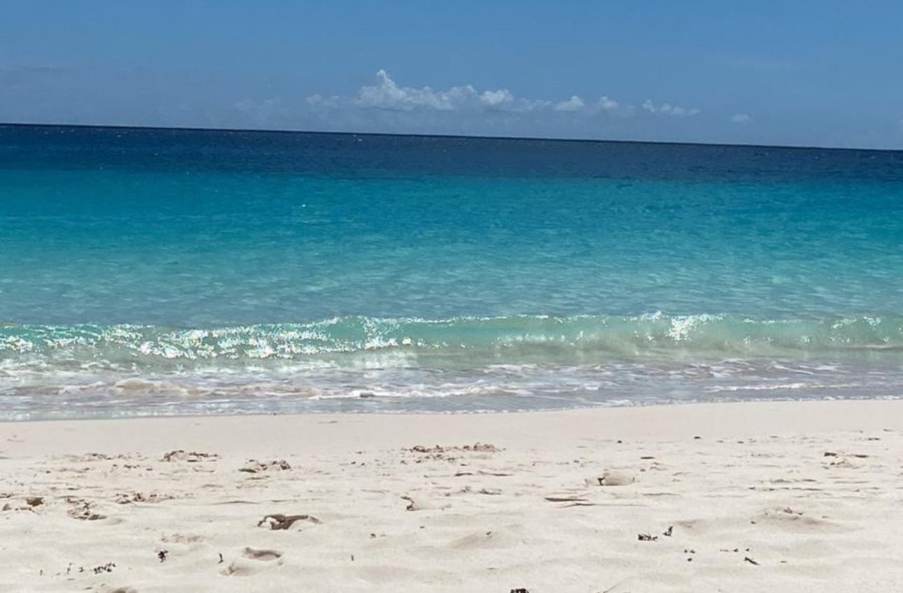 WhatsApp Image 2025-11-12 at 05.25.07_12bd7f12