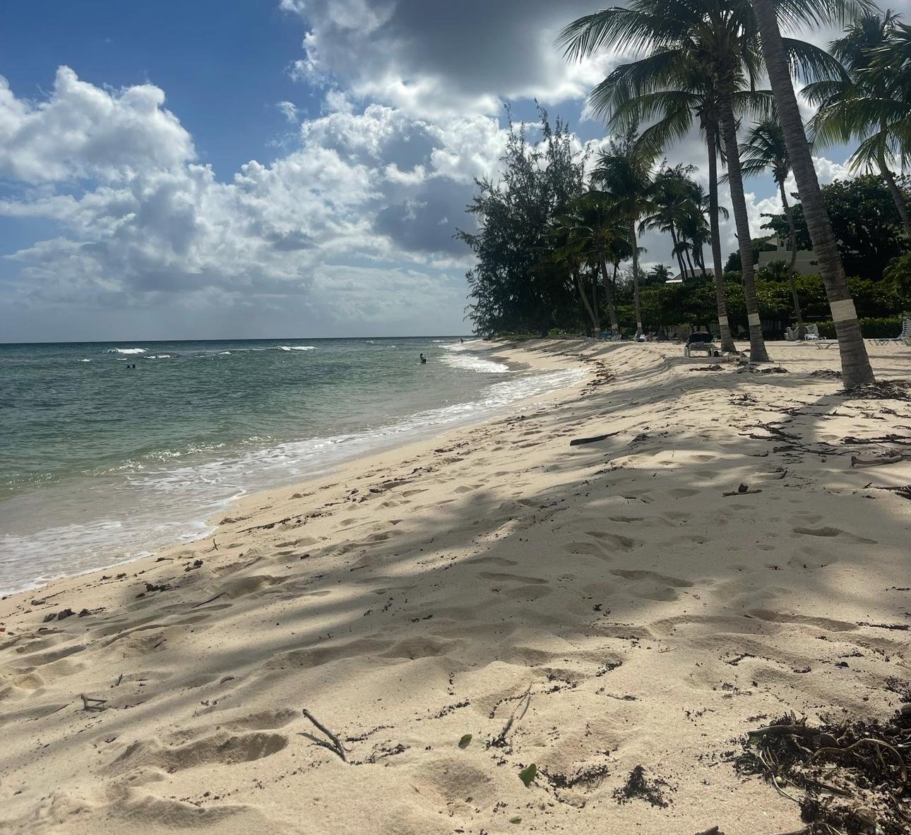 WhatsApp Image 2025-11-12 at 05.25.07_d3d1fa9a