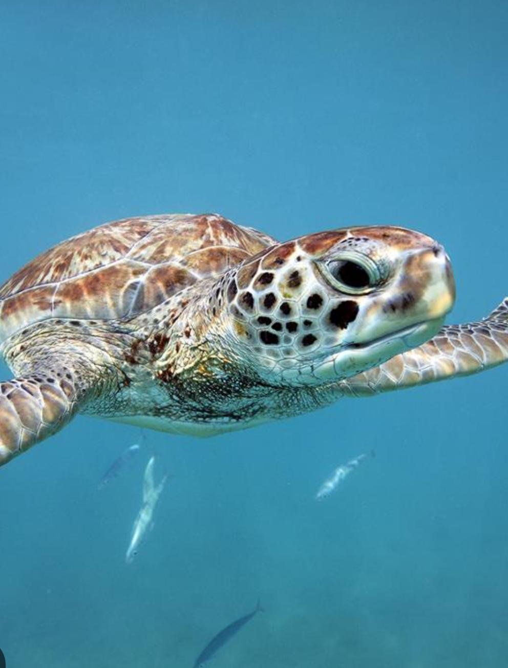 WhatsApp Image 2025-11-12 at 05.25.07_e8944937