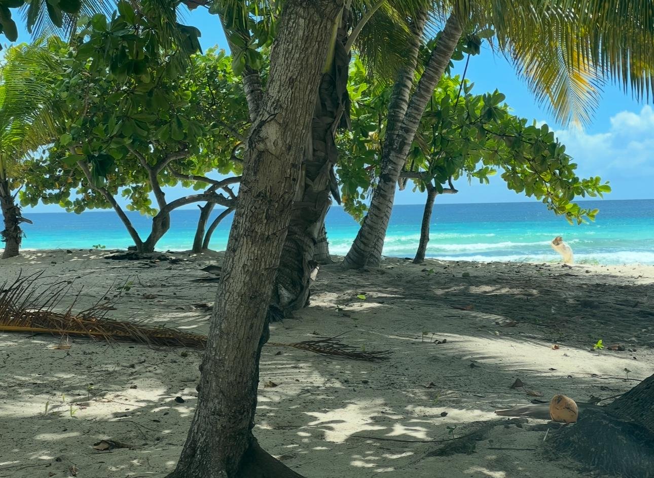 WhatsApp Image 2025-11-12 at 05.25.07_fad08d6c